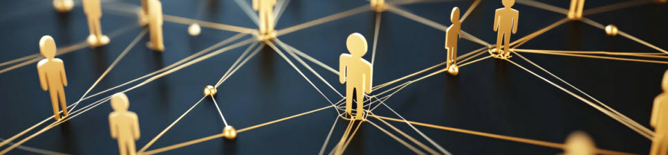 Visual Representation of Interconnected Growth Depicting the Mechanics of a Ponzi Scheme
By NanzXy on Adobe Stock (licensed)